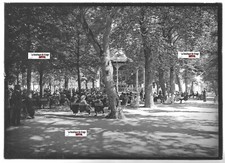 Plaque verre photo ancienne