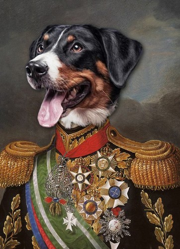 Plaque métal general chien - plaque,