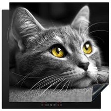 KitchenYeah Protection Plaque