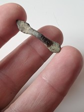 Fibule Romaine Enfants