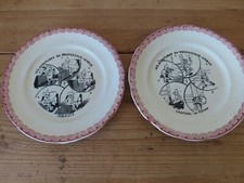 2 Assiettes Sarreguemines Les