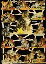 #Leuilles Chromos# EF 7407, Sweet Cats, Kitten À Jouent, Nostalg. Patterns