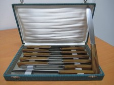 12 TABLE KNIVES PLASTIC HANDLES AND BLADES STAINLESS STEEL VERINOX