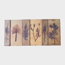 6 Grands Carreaux en Grès de Vallauris Herbier Garrigue 35,7 cm 