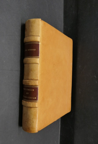 Musset mimi pinson autres - pinson,