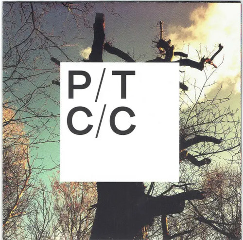 Porcupine tree - porcupine,