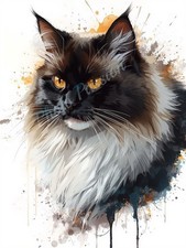 Photo A4 Black White Maine