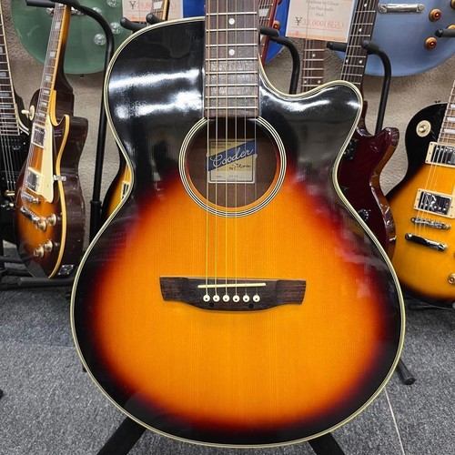 Guitare acoustique électrique