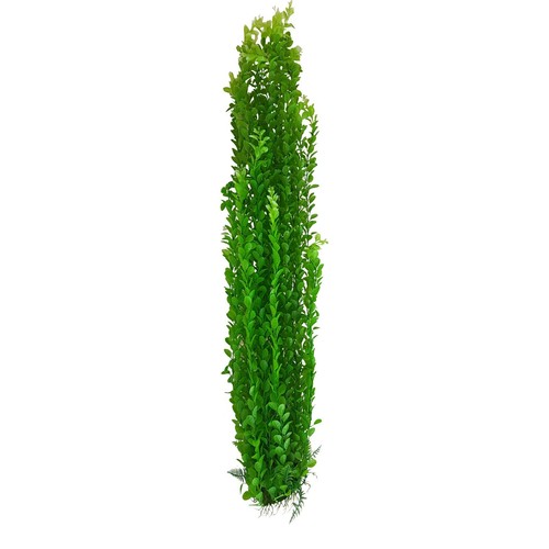 Grand aquarium bassin - grand,
