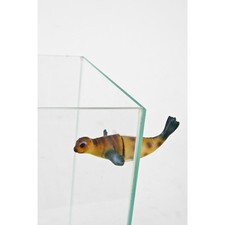 Décoration otarie magnétique