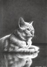 admirable CAT, original painting A4 oil work dry brush