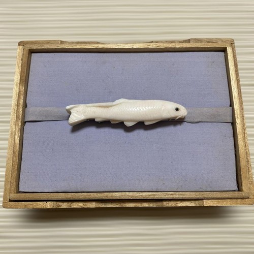 Obidome koi carpe poisson - koi,