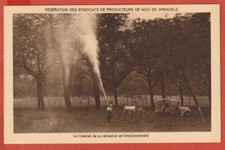 CPA - FEDERATION OF PRODUCERS OF GRENOBLE NUTS - 38 - THE SPRAY