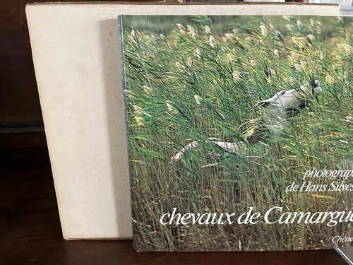 Chevaux camargue - de,