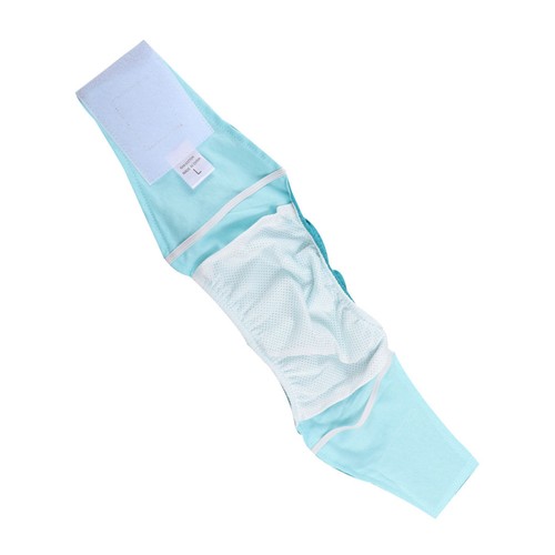 Couche culotte chien - chien, male
