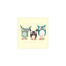 Chouettes hiboux  sticker