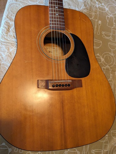 Vintage vantage acoustic - vantage,