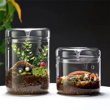 DIY Terrarium Kit with