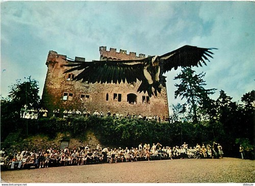 Carte postale animaux - -,