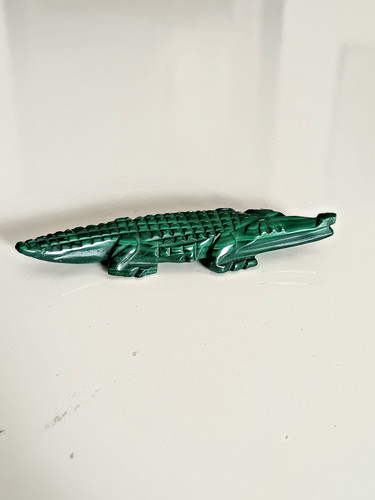 Crocodile malachite - crocodile, en