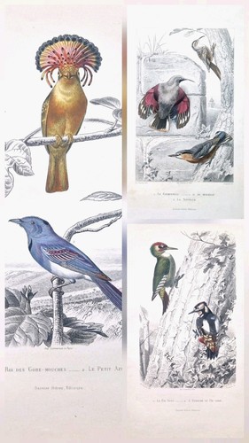Gravures ancienne originale - , 3
