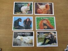 LOT DE CARTES POSTALE
