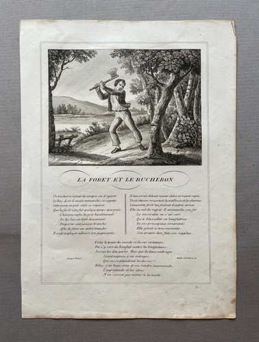 Forêt le bucheron - la,