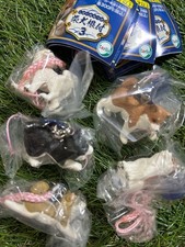 Shiba Inu Charm 3 jeu complet