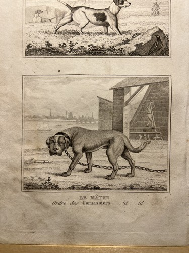 Illustration ancienne 1835 - ancienne,