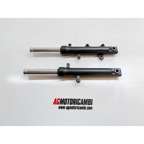 Paire branches fourche - paire, de