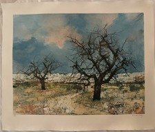 Les arbres - Michel Ciry -