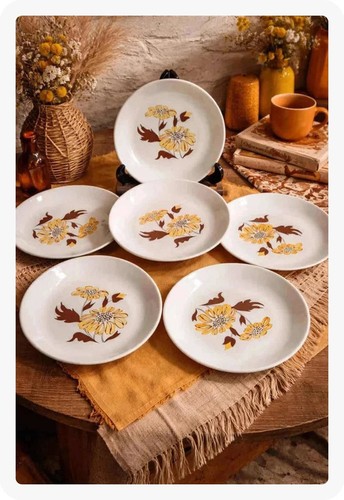 Lot assiettes sovirel france - 6,