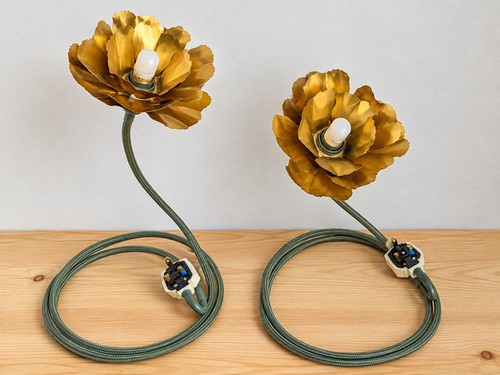 Rare paire de lampes - 🌸,