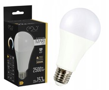 Ampoule LED MARI LED E27 22W