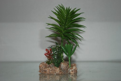 Vivarium désert plante - vivarium,