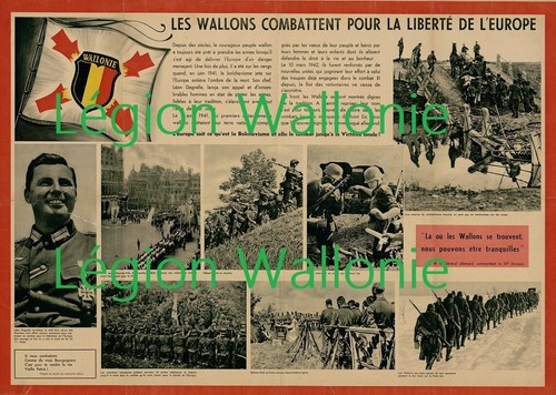 Photo légion wallonie - photo,