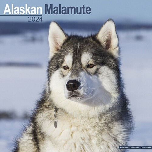 Calendrier 2024 alaskan - 2024,