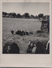 India, On the Road to Rewari, Vultures, Vintage Print, 1948 Photo Taken by Hen