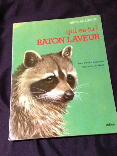 Qui raton laveur - qui,