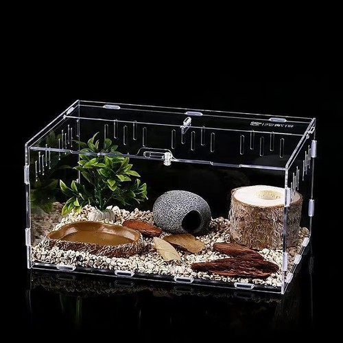 Terrarium tortue terrestre - tortue,