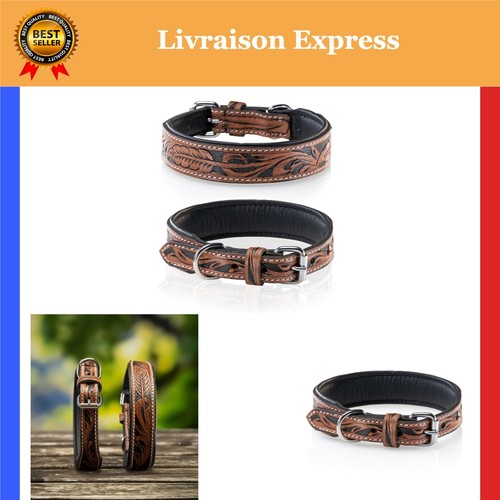 Collier cuir pour chien - collier,