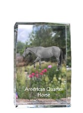 Américain Quarter Horse -