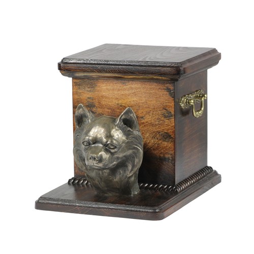 Chihuahua poil long urne en - long,