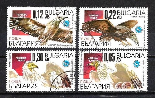 Animaux oiseaux rapaces - oiseaux,