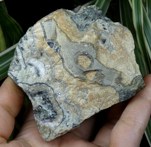 Galène fluorite barytine - fluorite,,