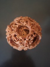 Chine boule de canton en bois