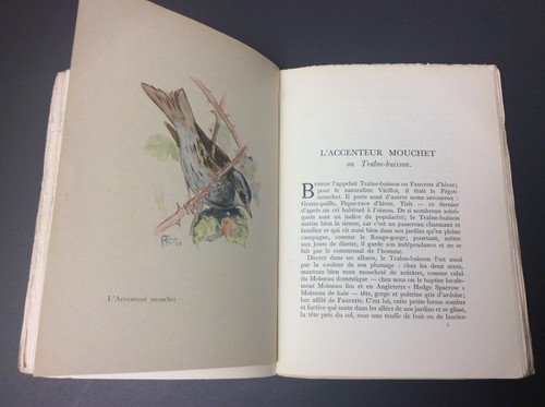 Portraits oiseaux delamain - d’oiseaux,