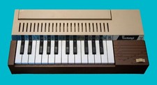 Vintage Bontempi B2 Battery