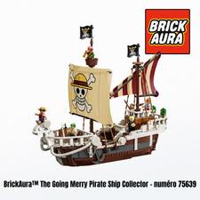 Le bateau pirate Vogue Merry