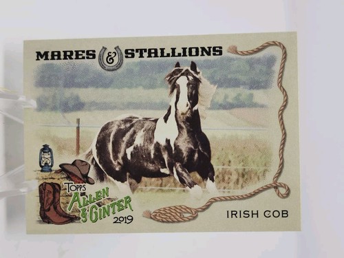 2019 topps allen ginter - allen,